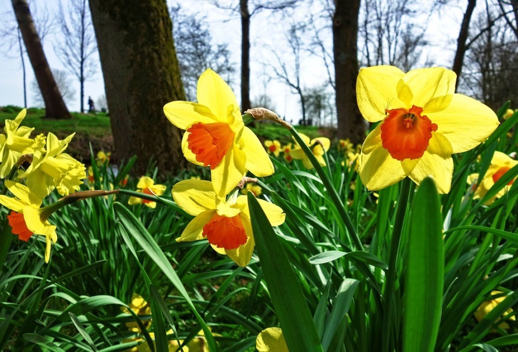 Remonstranten Eindhoven